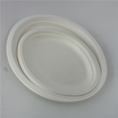 Biodegradable Disposable Sugarcane Paper Plates 6 7 9 10 Inch For Food