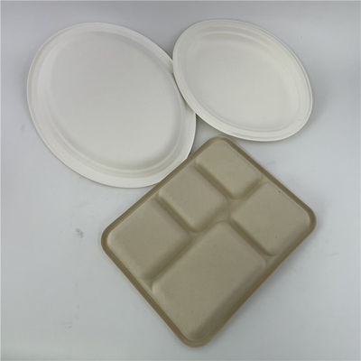 Biodegradable Tableware Sugarcane Bagasse Pulp Paper Plate Dinnerware Sets