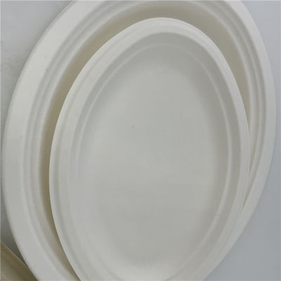 Biodegradable Tableware Sugarcane Bagasse Pulp Paper Plate Dinnerware Sets