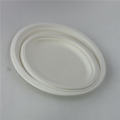 Disposable Sugarcane Pulp Bagasse Paper Plate Biodegradable for Party / Wedding