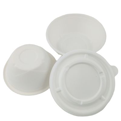 Natural Sugarcane Pulp Biodegradable Bagasse Bowl Dim Sum Dumpling Takeaway