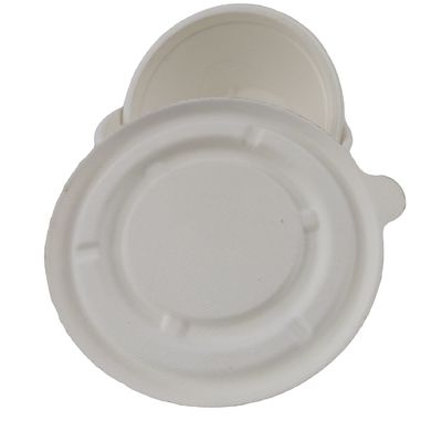 Natural Sugarcane Pulp Biodegradable Bagasse Bowl Dim Sum Dumpling Takeaway