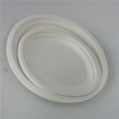 Biodegradable Tableware Sugarcane Bagasse Pulp Paper Plate Dinnerware Sets