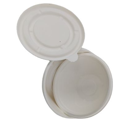 Natural Sugarcane Pulp Biodegradable Bagasse Bowl Dim Sum Dumpling Takeaway