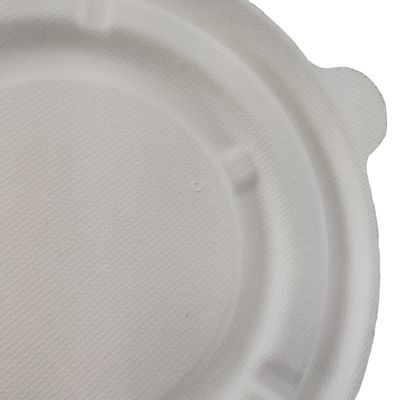 Natural Sugarcane Pulp Biodegradable Bagasse Bowl Dim Sum Dumpling Takeaway